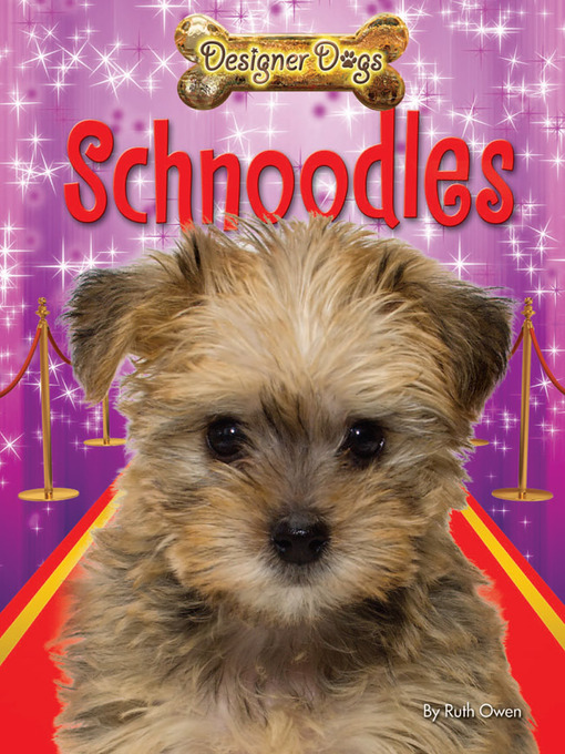Cover image for Schnoodles